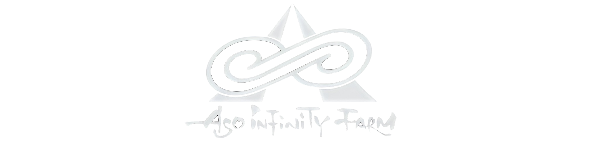 Aso infinity farm合同会社